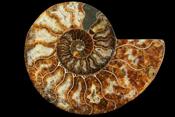 Agatized Ammonite Fossil (Half) - Madagascar #115325